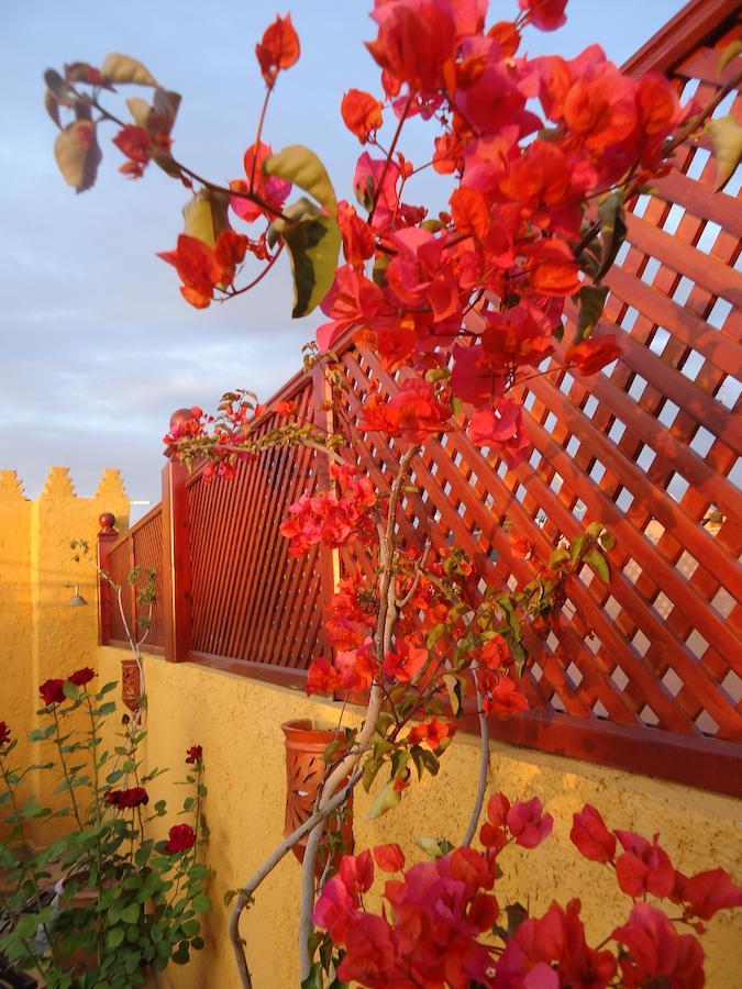 Riad Aldiana มาร์ราเกช ภายนอก รูปภาพ