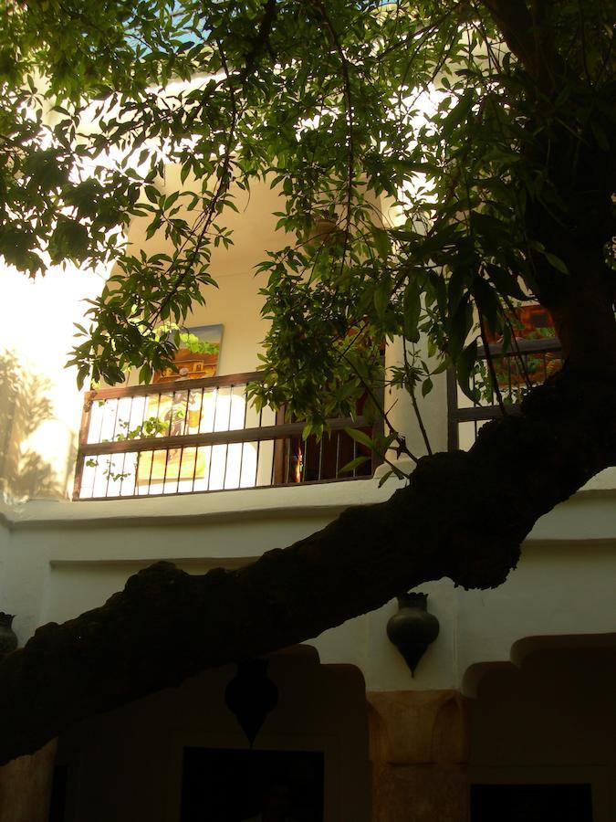 Riad Aldiana มาร์ราเกช ภายนอก รูปภาพ